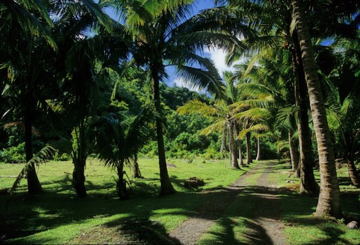 Остров Кука — великолепное место для отдыха