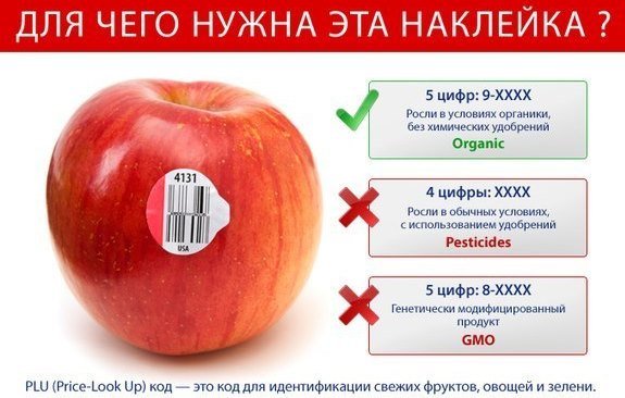 Для чего нужны наклейки на овощах и фруктах?