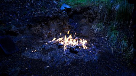 Негаснущий чудо-огонь в лесах Новой Зеландии