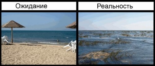 Ожидание vs. реальность: летний отпуск (19 фото)
