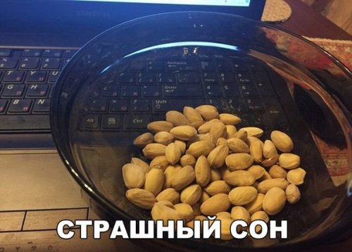 Прикольные фотомемы (24 шт)