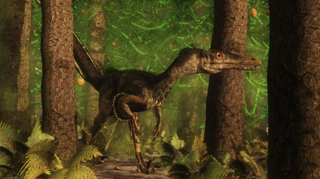 5-velociraptor