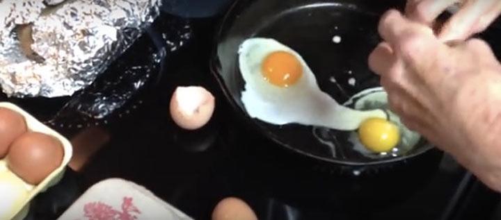 Какое из этих яиц снесла здоровая курица?
