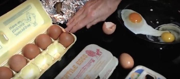 Какое из этих яиц снесла здоровая курица?
