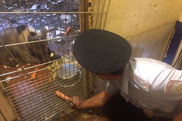 В московском гаражном кооперативе мужик держал медвежонка