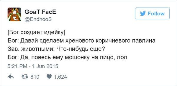 Если бы происхождением видов занимался всевышний