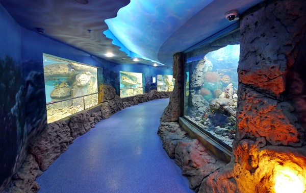 Фото океанариум в калининграде