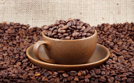 10 советов — Как приготовить идеальный кофе