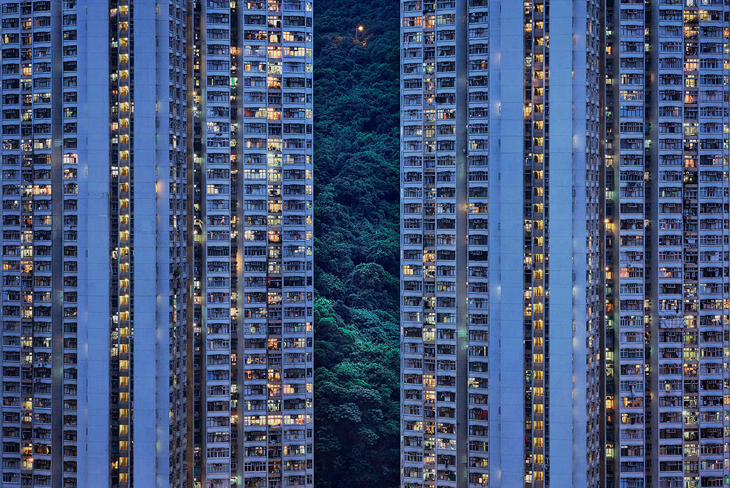 Гонконг дома муравейники