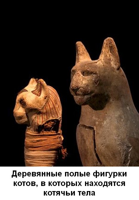 Мумии животных Древнего Египта Original