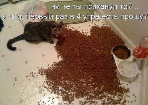 Новые прикольные фотомемы на Бугаге (29 шт)