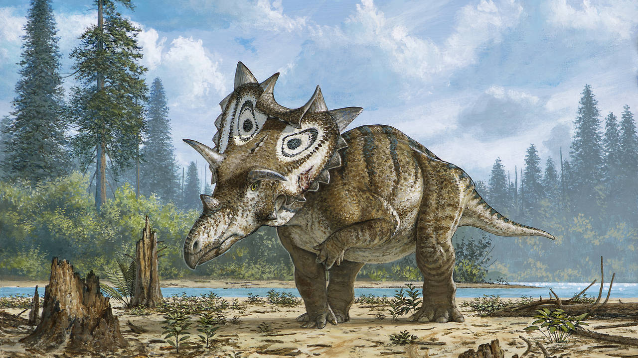 В Юте найден скелет неизвестного рогатого динозавра